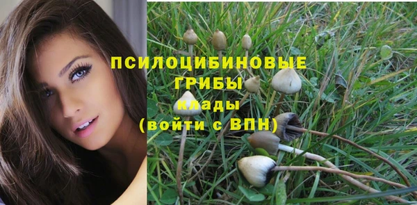 эйфоретик Армянск